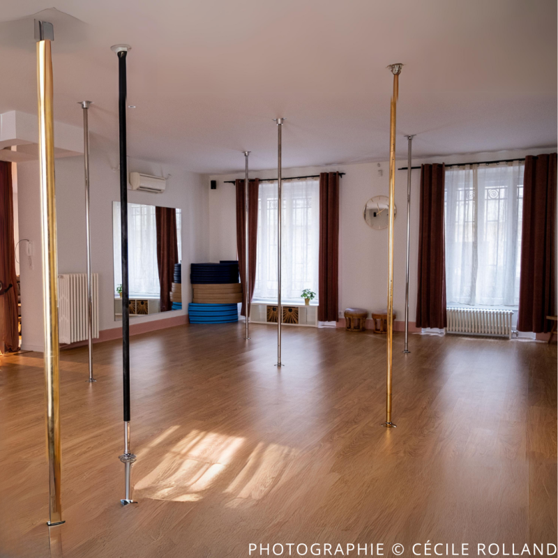 PINAPOLE Ecole de Pole dance et Arts aériens à Grenoble